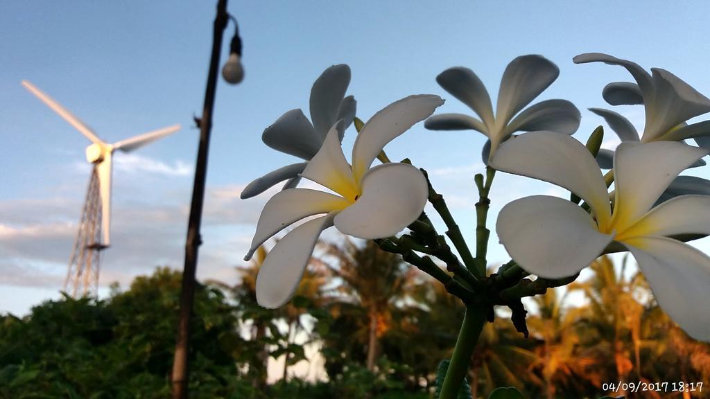 Rai Lung Tui Homestay Prachuap Khiri Khan Dış mekan fotoğraf